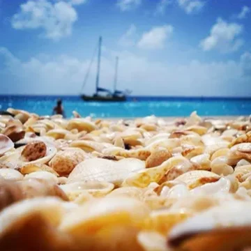 Villa-Wildflower-beach-stbarth-island